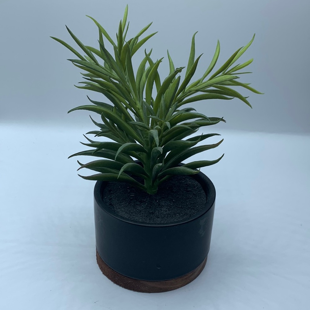 Threshold Art Plant Faux Succulent